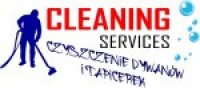 Logo firmy Cleaning Services - czyszczenie, pranie dywanów, wykładzin, tapicerek
