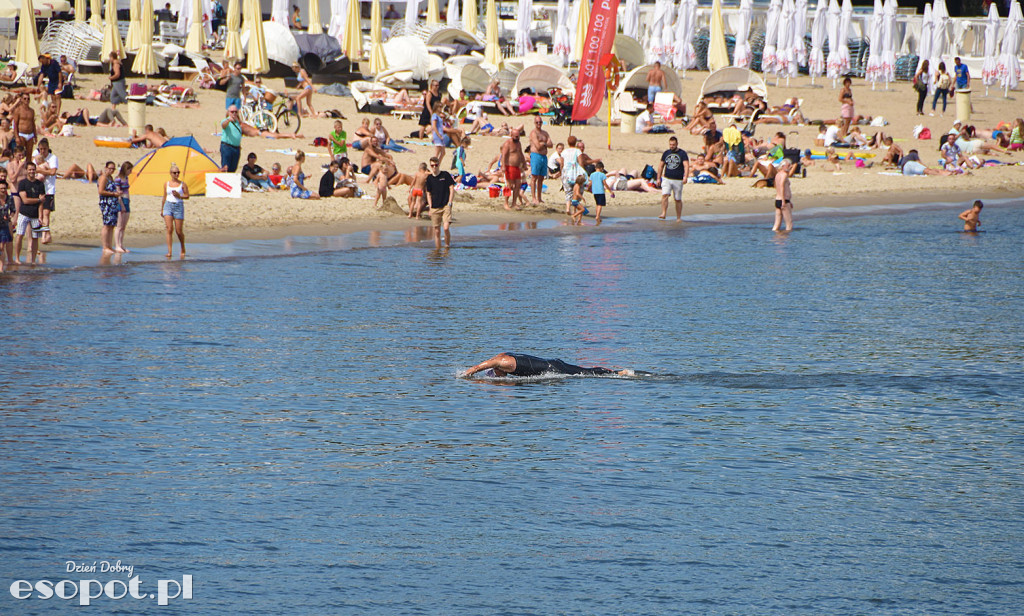 Zawody pływackie dookoła Molo - Sopot Timex Cup 2018