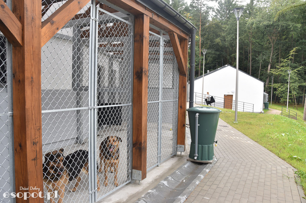 Nowe schronisko dla zwierząt Sopockie Sopotkowo