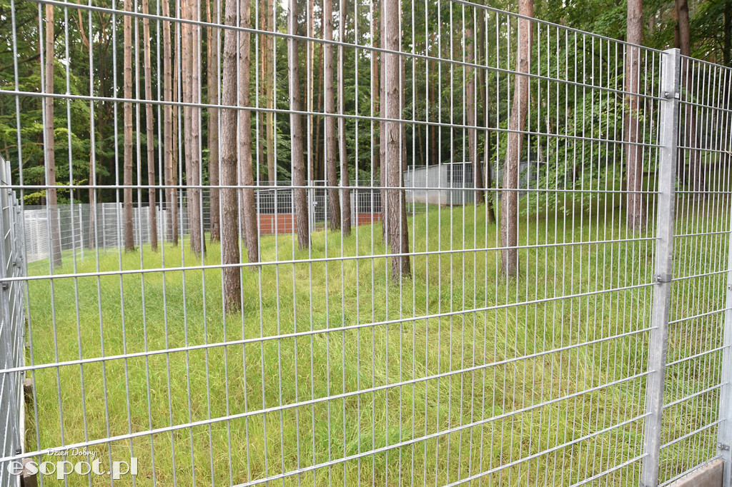 Nowe schronisko dla zwierząt Sopockie Sopotkowo