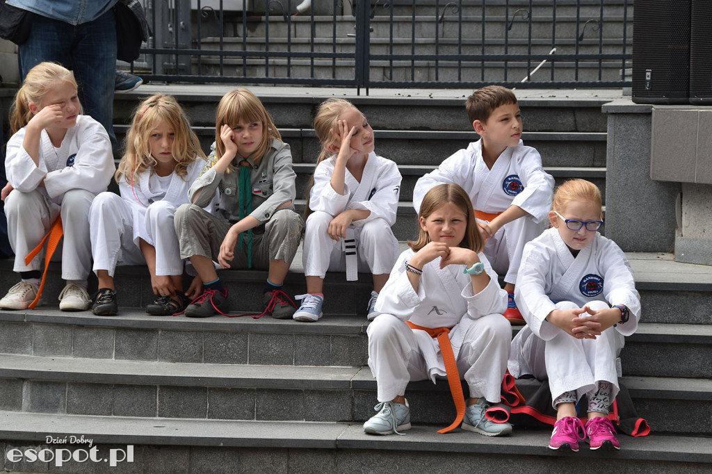16 Parada i Festyn Organizacji Pozarządowych Sopot 2018 [FOTORELACJA]