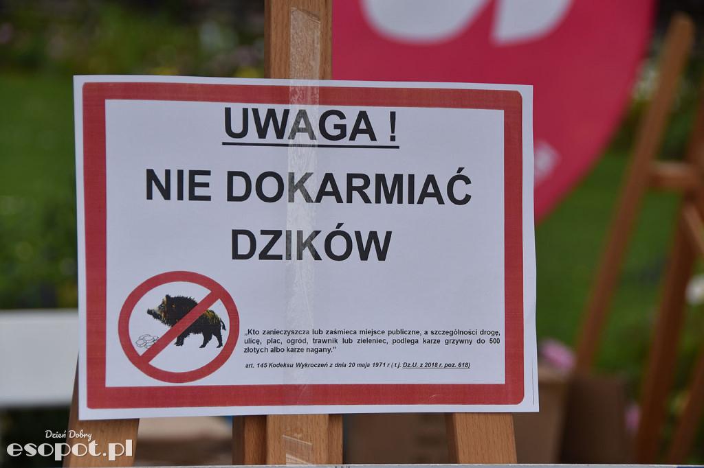 16 Parada i Festyn Organizacji Pozarządowych Sopot 2018 [FOTORELACJA]