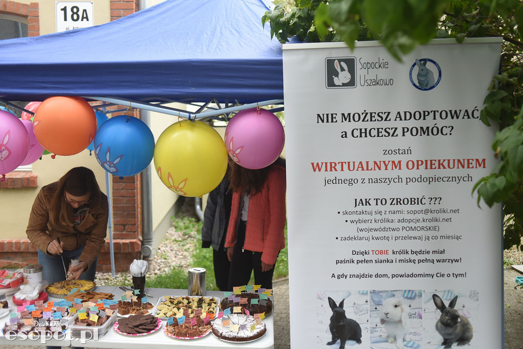 Dzień Otwarty w Sopockim Uszakowie [FOTORELACJA]