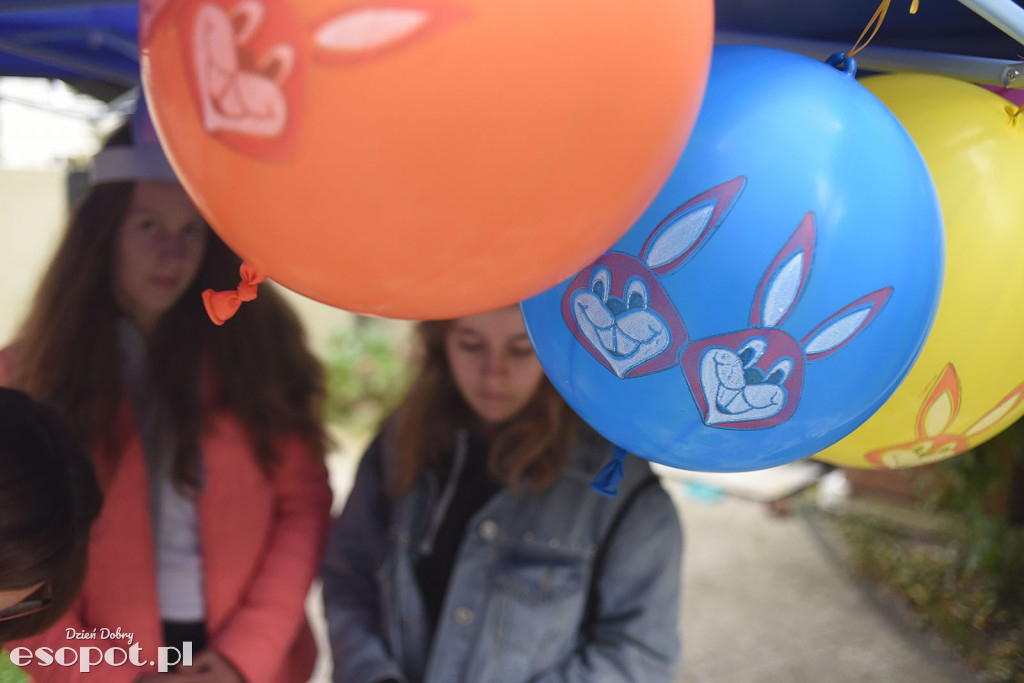 Dzień Otwarty w Sopockim Uszakowie [FOTORELACJA]
