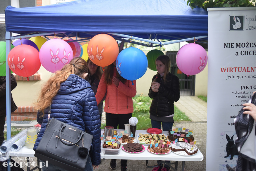 Dzień Otwarty w Sopockim Uszakowie [FOTORELACJA]