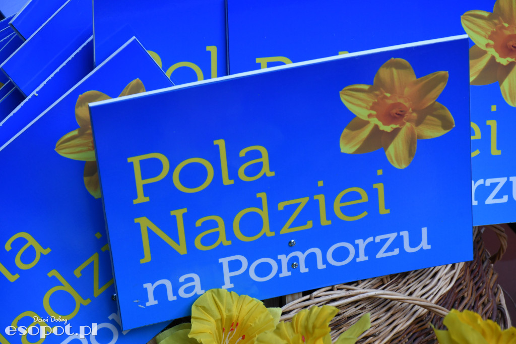 Pola Nadziei - Dom Hospicyjny w Sopocie