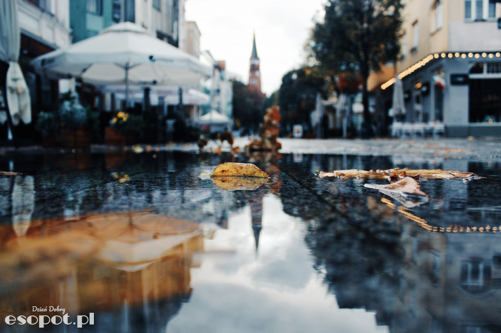 Jesienny spacer po Sopocie [FOTOGALERIA]