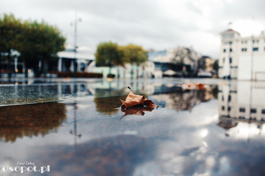 Jesienny spacer po Sopocie [FOTOGALERIA]