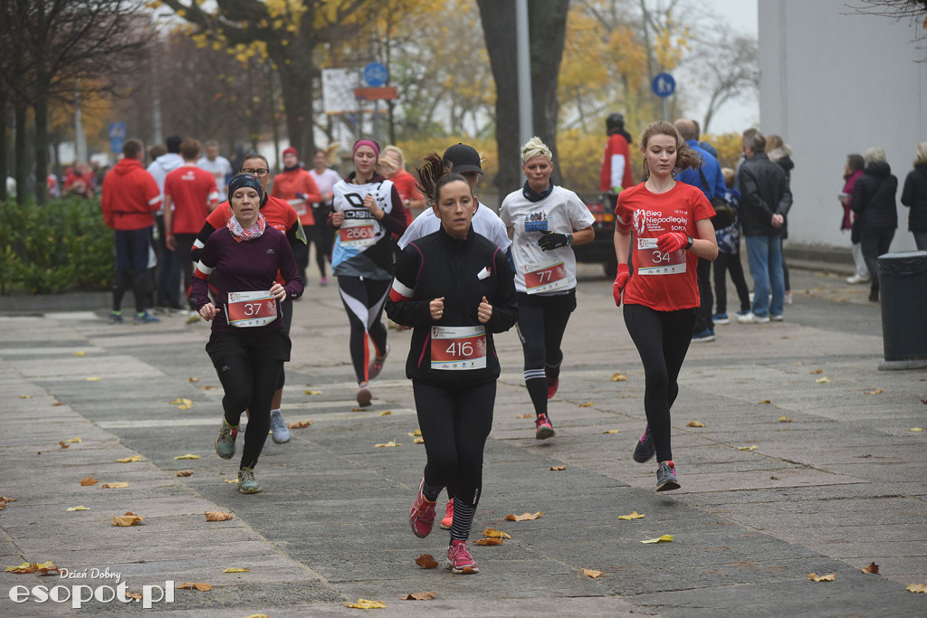 Bieg Niepodległej - 100-lecie odzyskania niepodległości [Fotorelacja]