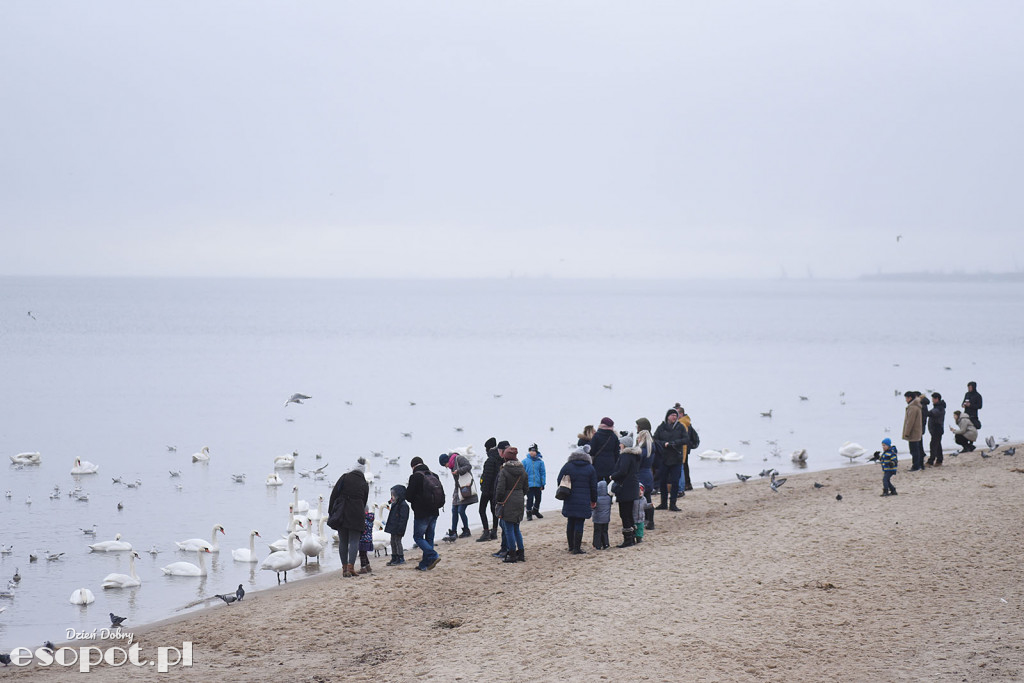 27 Finał Wielkiej Orkiestry Świątecznej Pomocy Sopot 2019 [FOTORELACJA]