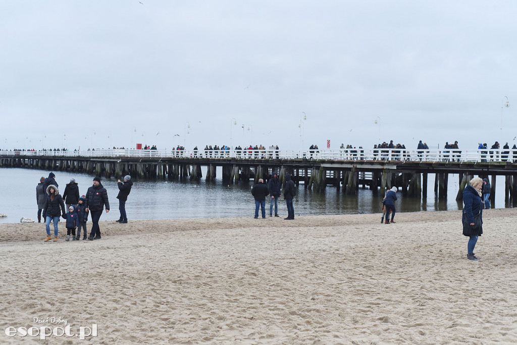 27 Finał Wielkiej Orkiestry Świątecznej Pomocy Sopot 2019 [FOTORELACJA]