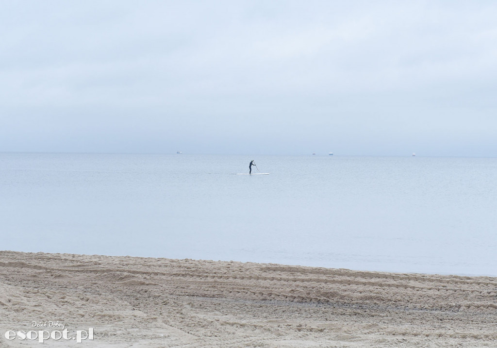 27 Finał Wielkiej Orkiestry Świątecznej Pomocy Sopot 2019 [FOTORELACJA]
