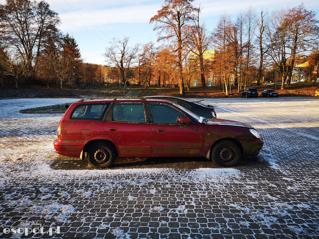 Parking strzeżony przy ul. Reja