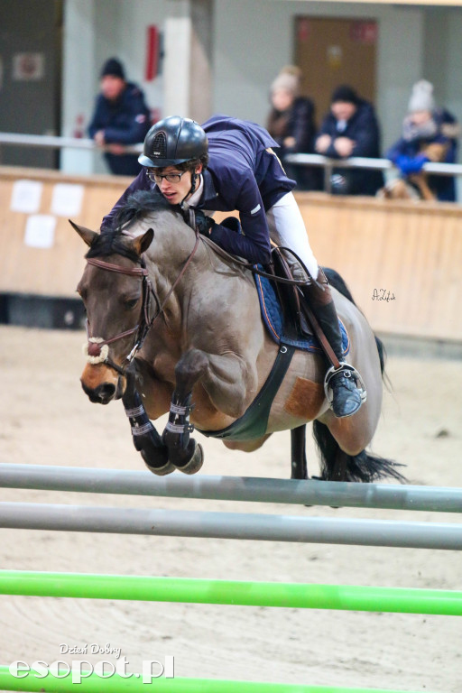 Międzynarodowe Zawody w Skokach CSI2* Sopot Winter Tour