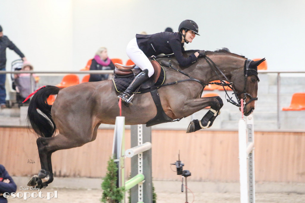 Międzynarodowe Zawody w Skokach CSI2* Sopot Winter Tour
