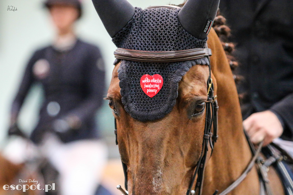 Międzynarodowe Zawody w Skokach CSI2* Sopot Winter Tour