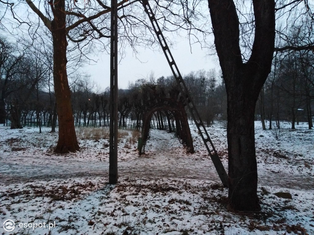 ArtInkubator