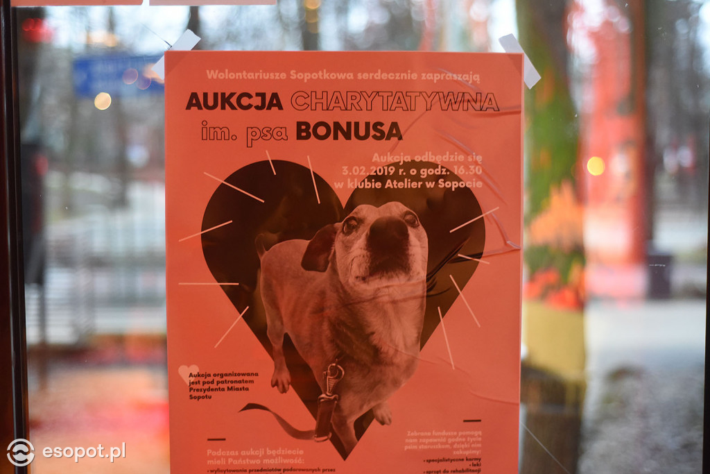 Aukcja charytatywna im. psa Bonusa