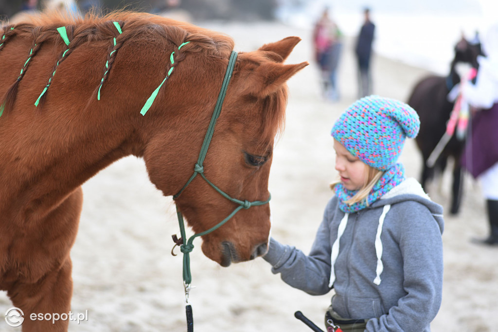 Konie powitały wiosnę na psiej plaży [FOTOGALERIA]
