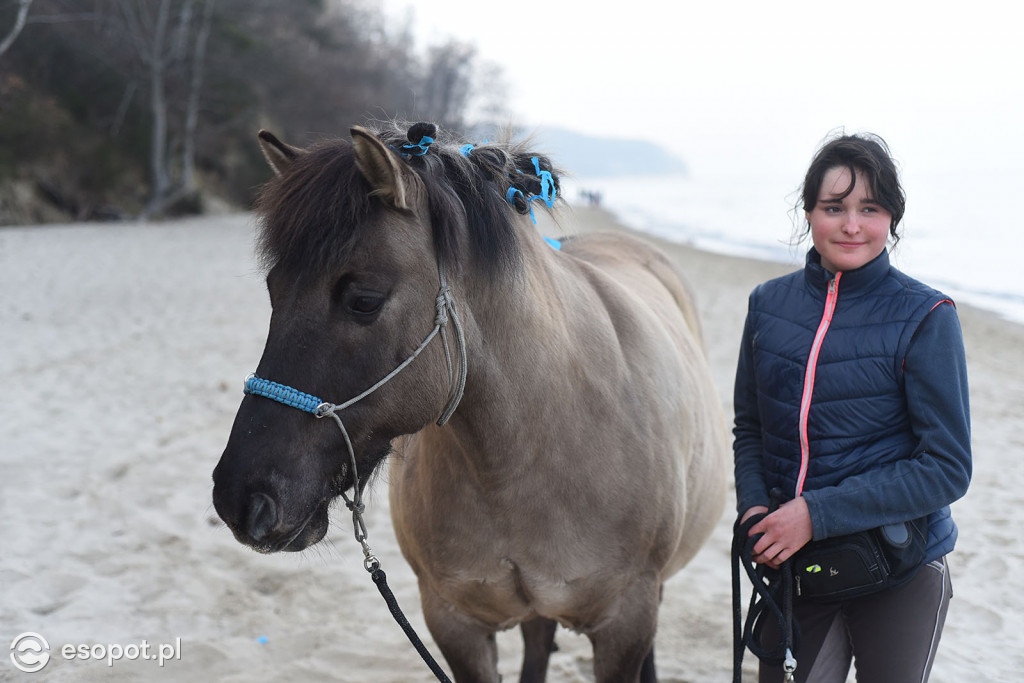 Konie powitały wiosnę na psiej plaży [FOTOGALERIA]