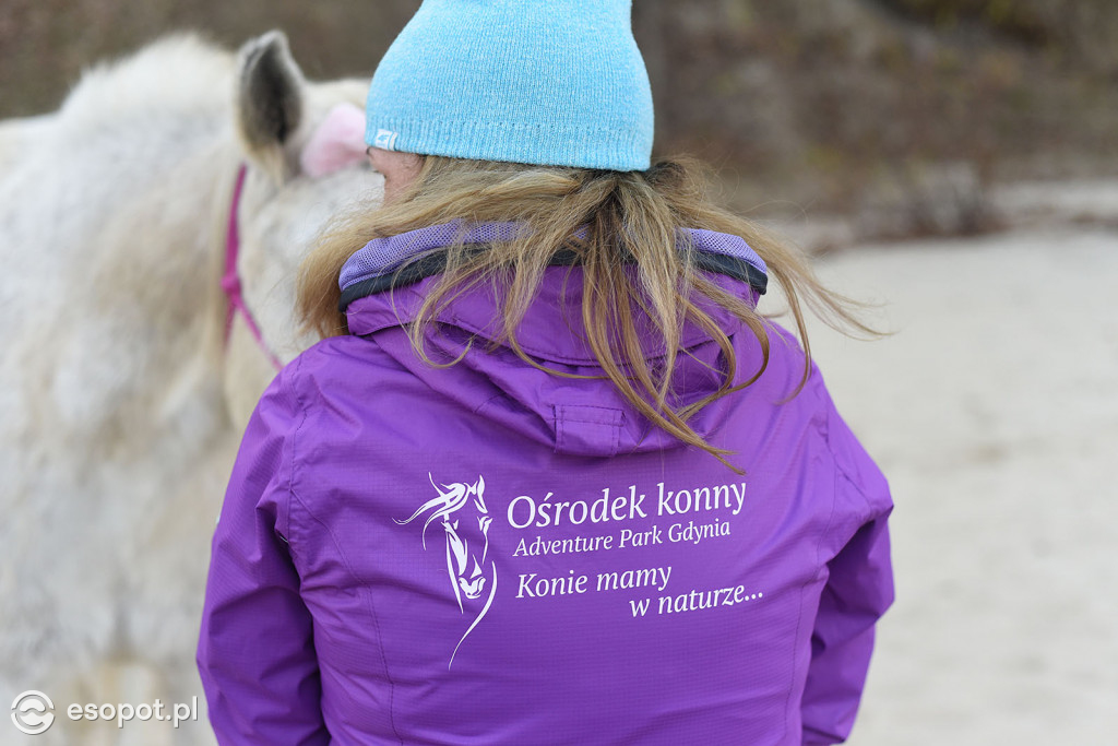 Konie powitały wiosnę na psiej plaży [FOTOGALERIA]