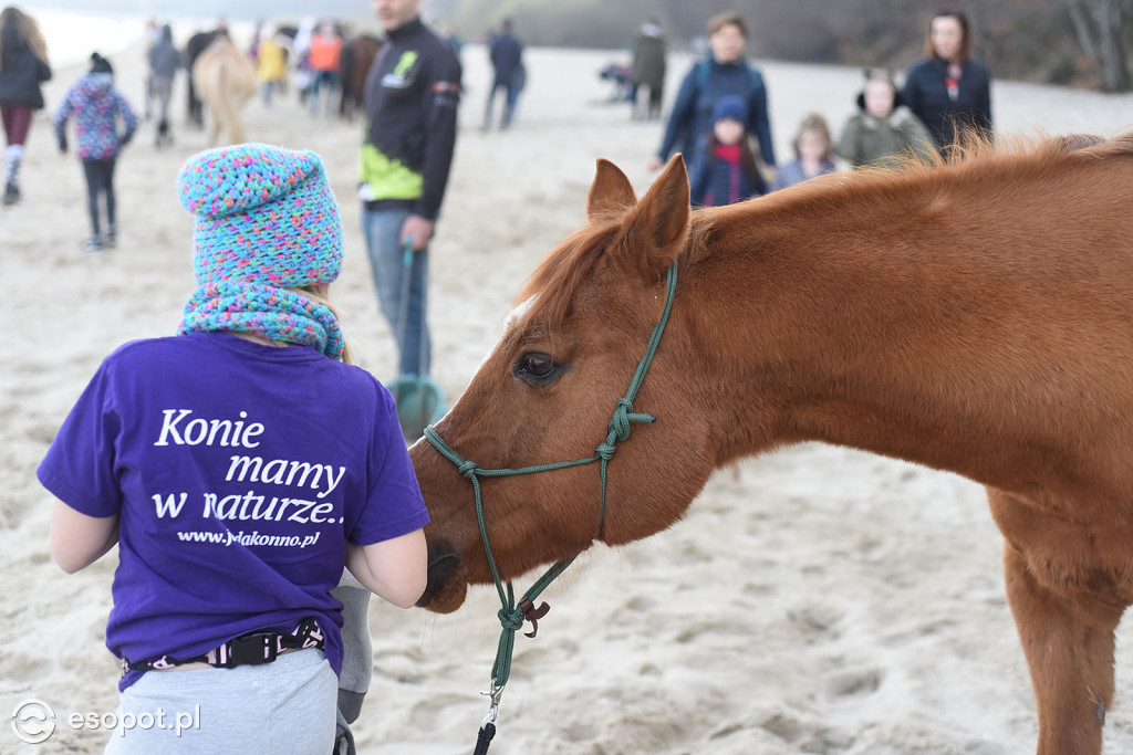 Konie powitały wiosnę na psiej plaży [FOTOGALERIA]