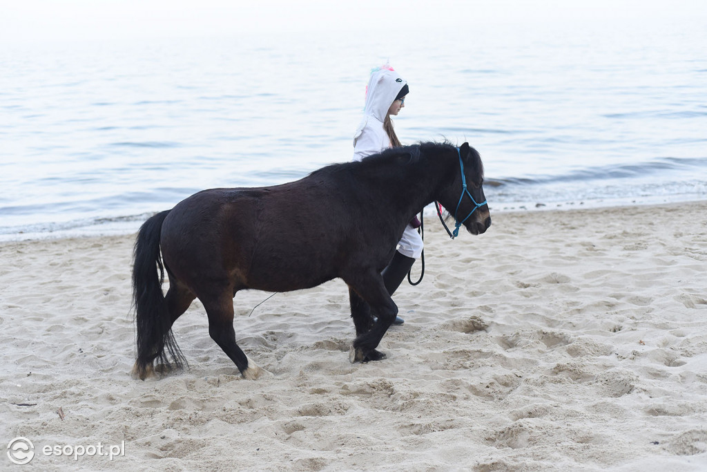 Konie powitały wiosnę na psiej plaży [FOTOGALERIA]