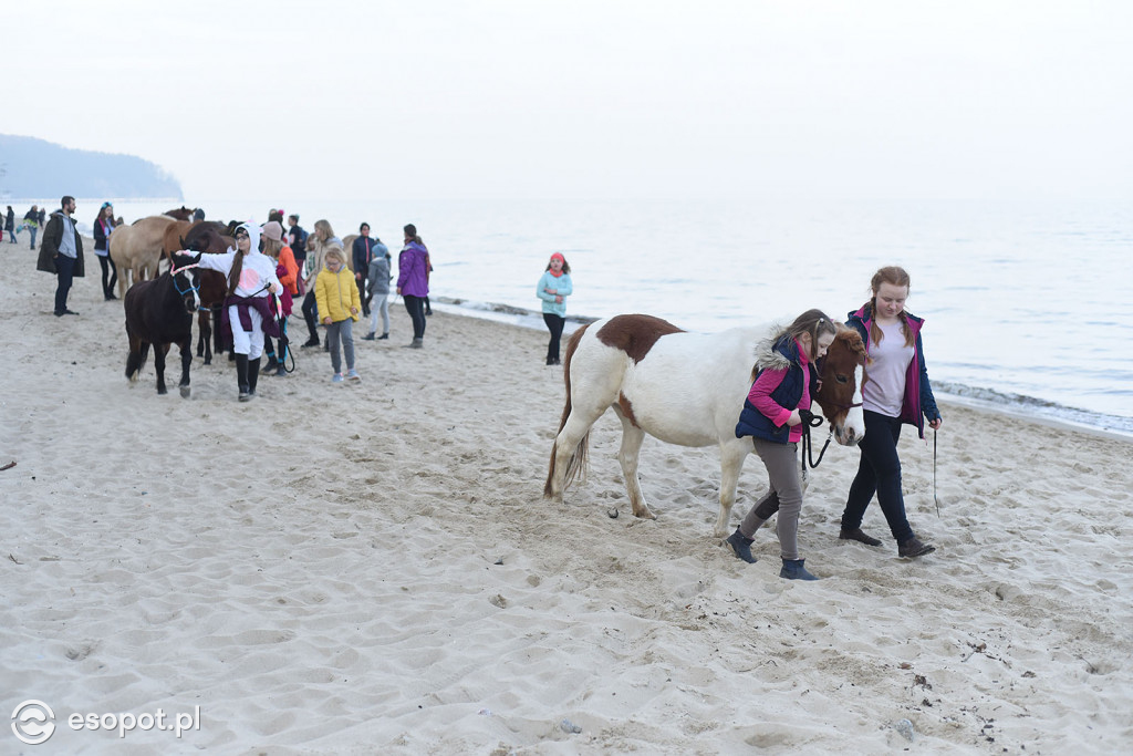 Konie powitały wiosnę na psiej plaży [FOTOGALERIA]