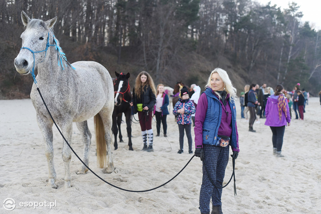 Konie powitały wiosnę na psiej plaży [FOTOGALERIA]