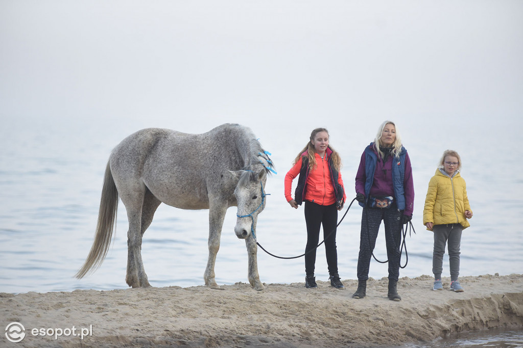 Konie powitały wiosnę na psiej plaży [FOTOGALERIA]