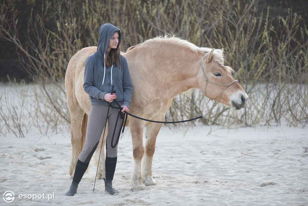Konie powitały wiosnę na psiej plaży [FOTOGALERIA]