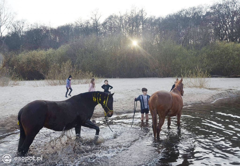 Konie powitały wiosnę na psiej plaży [FOTOGALERIA]