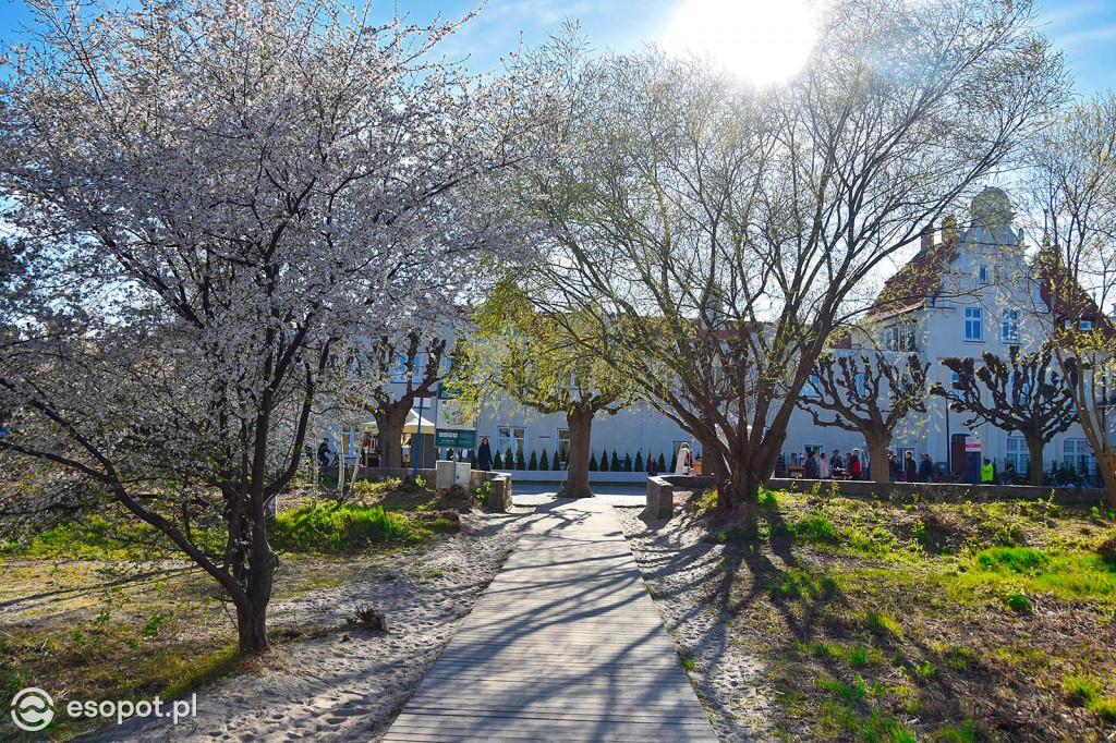 Świąteczny spacer nad morzem. Słoneczny Sopot [FOTOGALERIA]