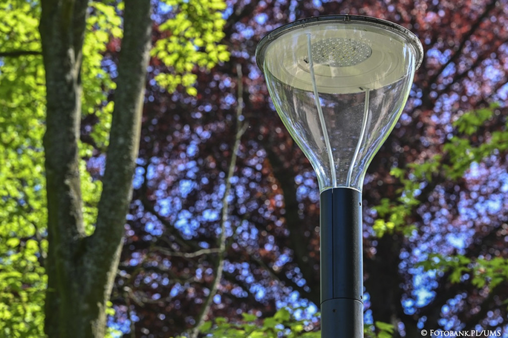 Nowe lampy w Parku Północnym