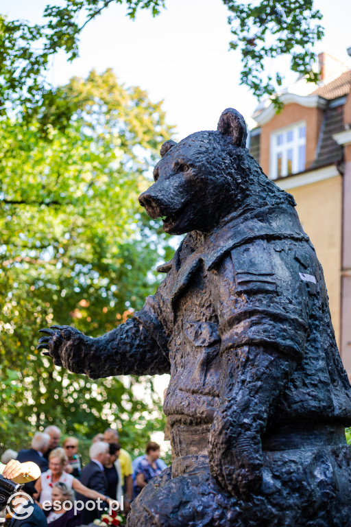 Uroczyste odsłonięcie pomnika Misia Wojtka w Sopocie [FOTO]