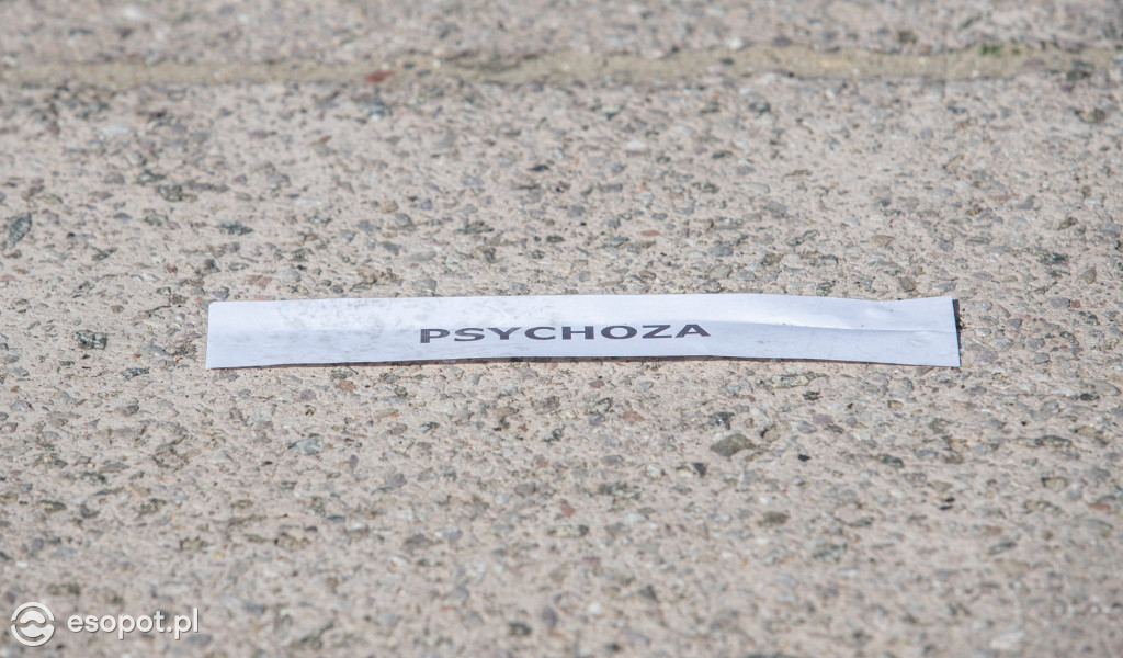 Sopocki Festyn Tolerancji oraz przejście przez symboliczne Drzwi [FOTO]