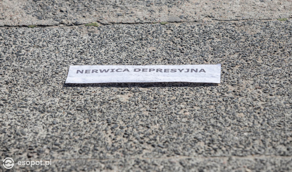 Sopocki Festyn Tolerancji oraz przejście przez symboliczne Drzwi [FOTO]