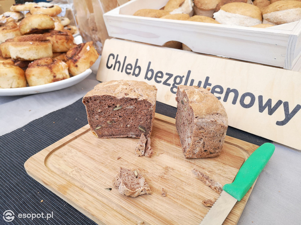 Sopocki Ekopiknik 2019 - Sopot Naturalnie [FOTO]