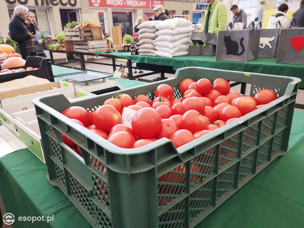 Sopocki Ekopiknik 2019 - Sopot Naturalnie [FOTO]