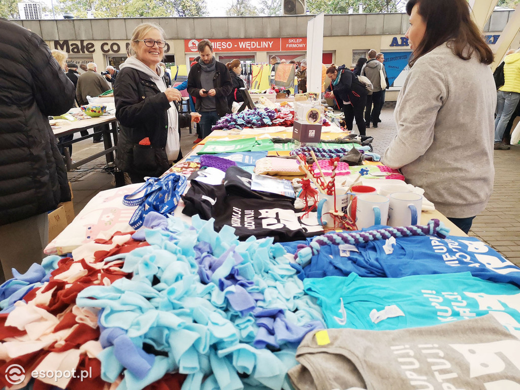 Sopocki Ekopiknik 2019 - Sopot Naturalnie [FOTO]