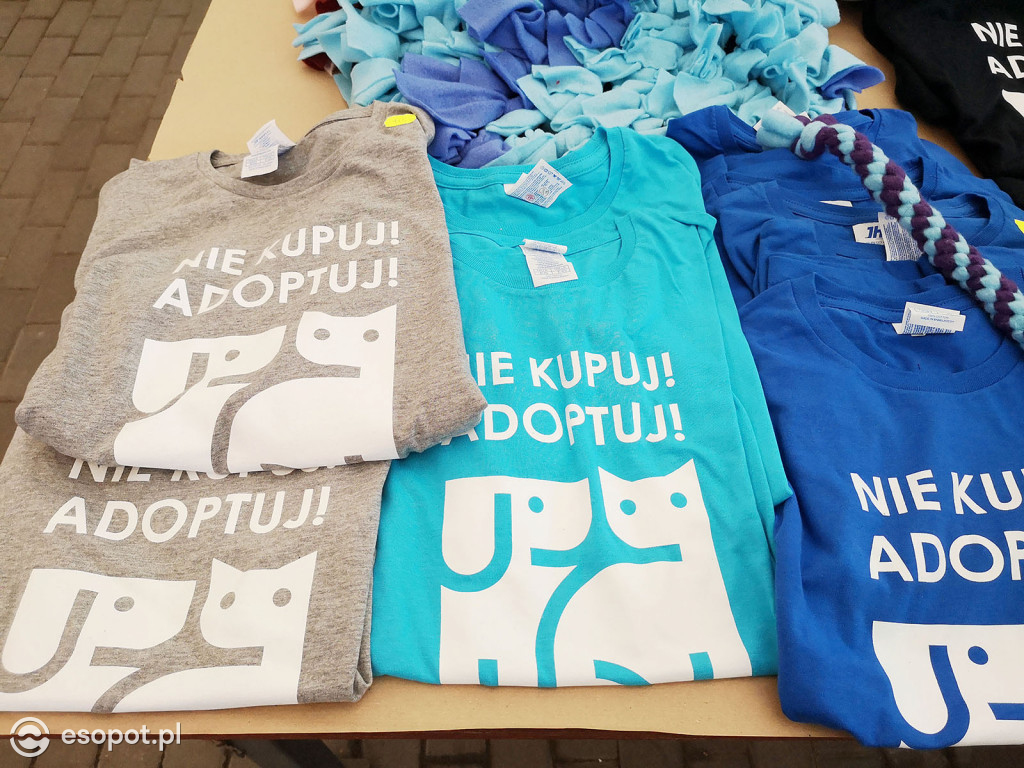 Sopocki Ekopiknik 2019 - Sopot Naturalnie [FOTO]