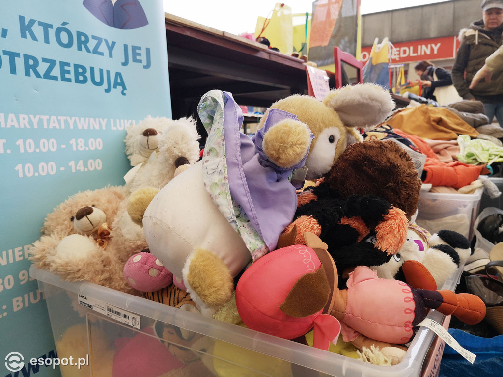Sopocki Ekopiknik 2019 - Sopot Naturalnie [FOTO]