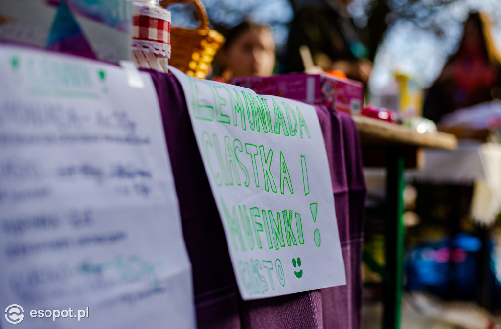 Festyn i głosowanie BO na Kamiennym Potoku 2019