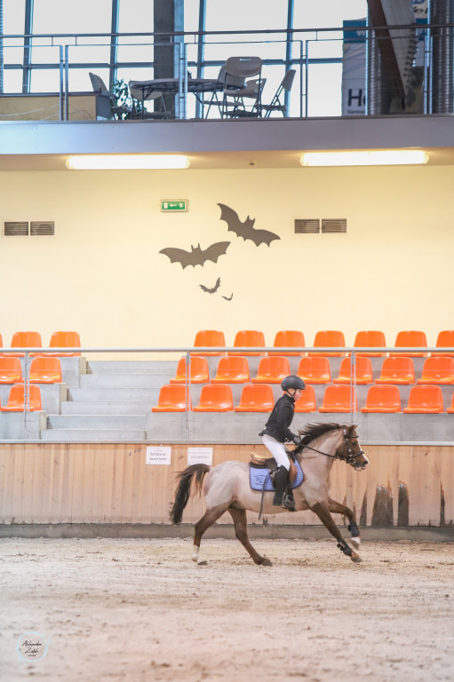 JumpOFF Hipodrom - II eliminacja, zawody halowe