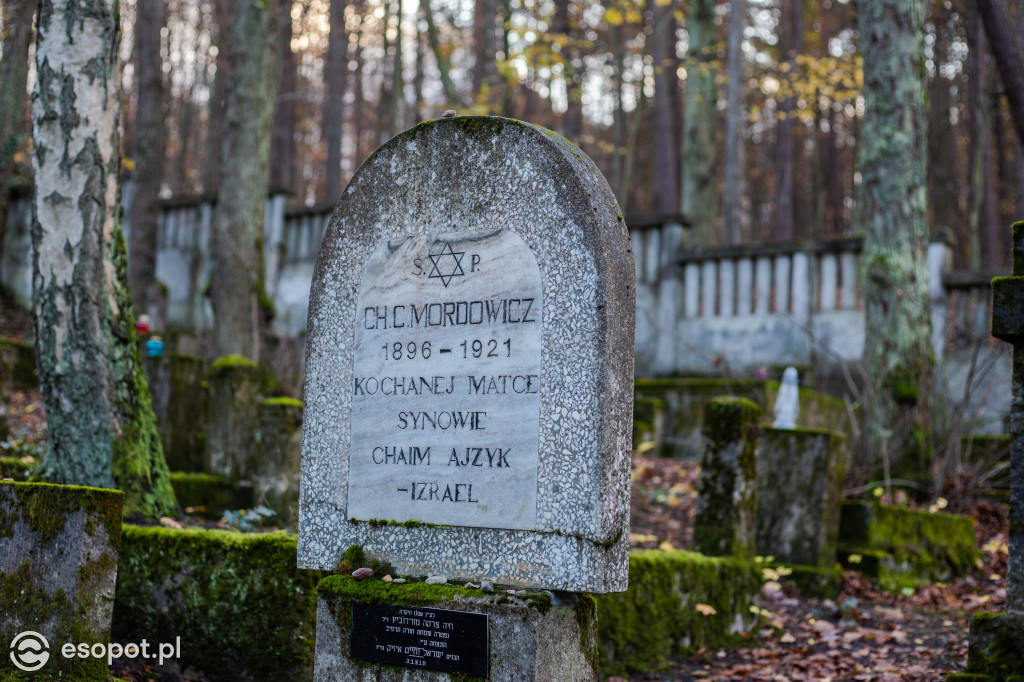 Spacer historyczny - sopockie cmentarze [FOTO]