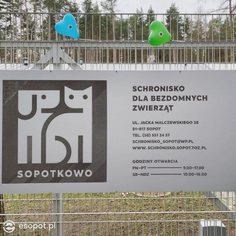 Weekend z Kotem w Sopotkowie [FOTO]