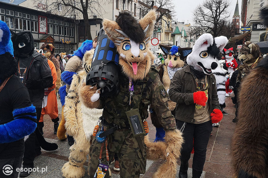 Fursuit Walk 2020 Sopot - Futrzaki opanowały kurort - Gdakon