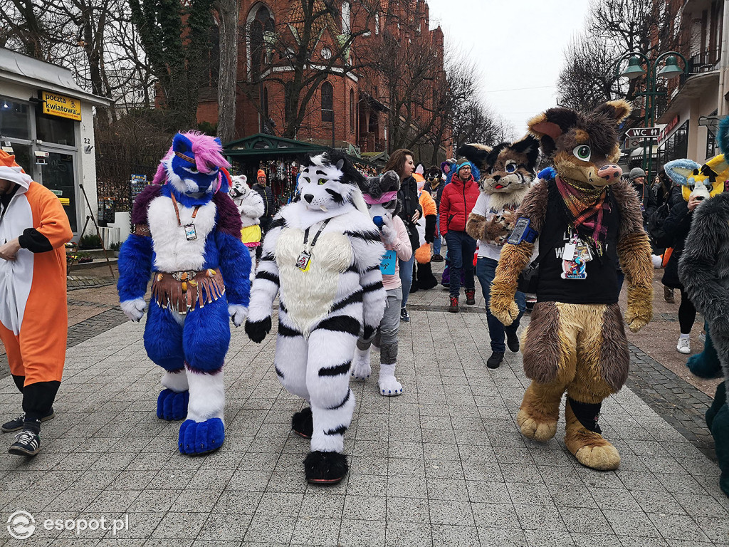 Fursuit Walk 2020 Sopot - Futrzaki opanowały kurort - Gdakon