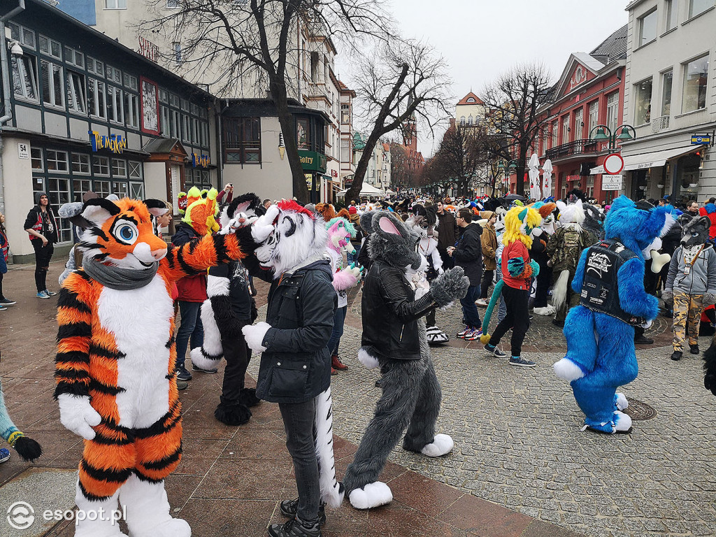 Fursuit Walk 2020 Sopot - Futrzaki opanowały kurort - Gdakon
