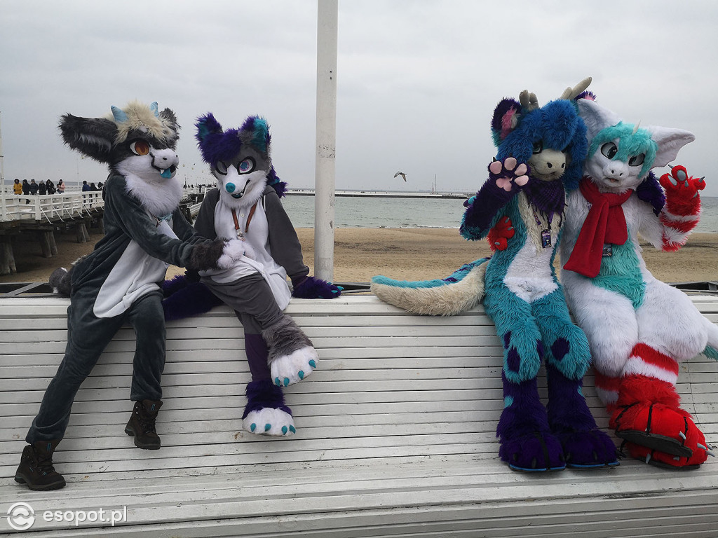 Fursuit Walk 2020 Sopot - Futrzaki opanowały kurort - Gdakon